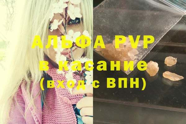 ECSTASY Мурманск