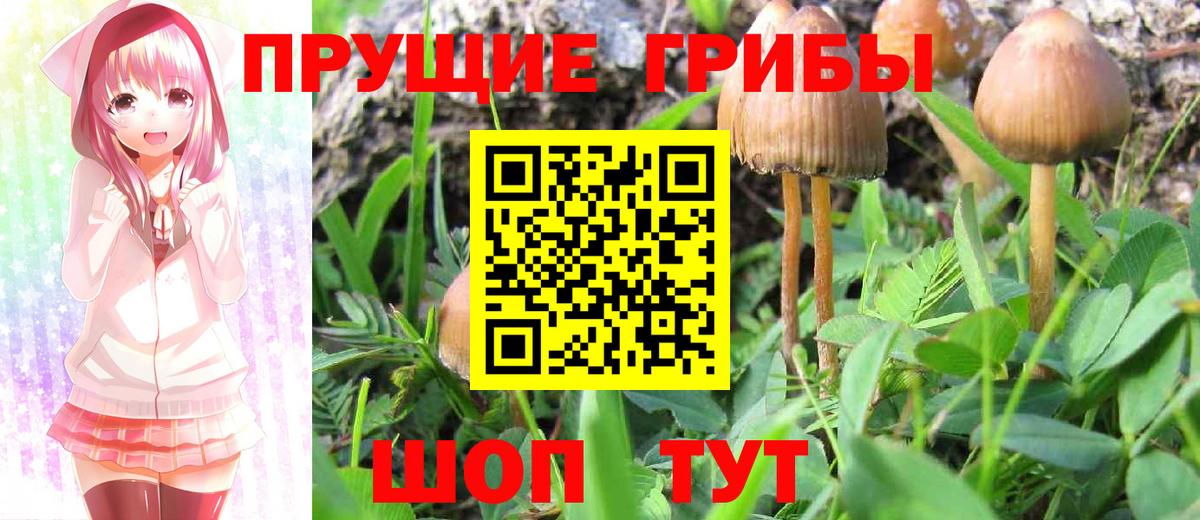 Псилоцибиновые грибы Cubensis  Вход с VPN  Галлюциногенные грибы GOLDEN TEACHER  Шахты 