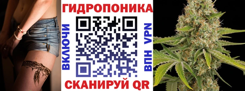 Конопля OG Kush  закладки  Шахты 